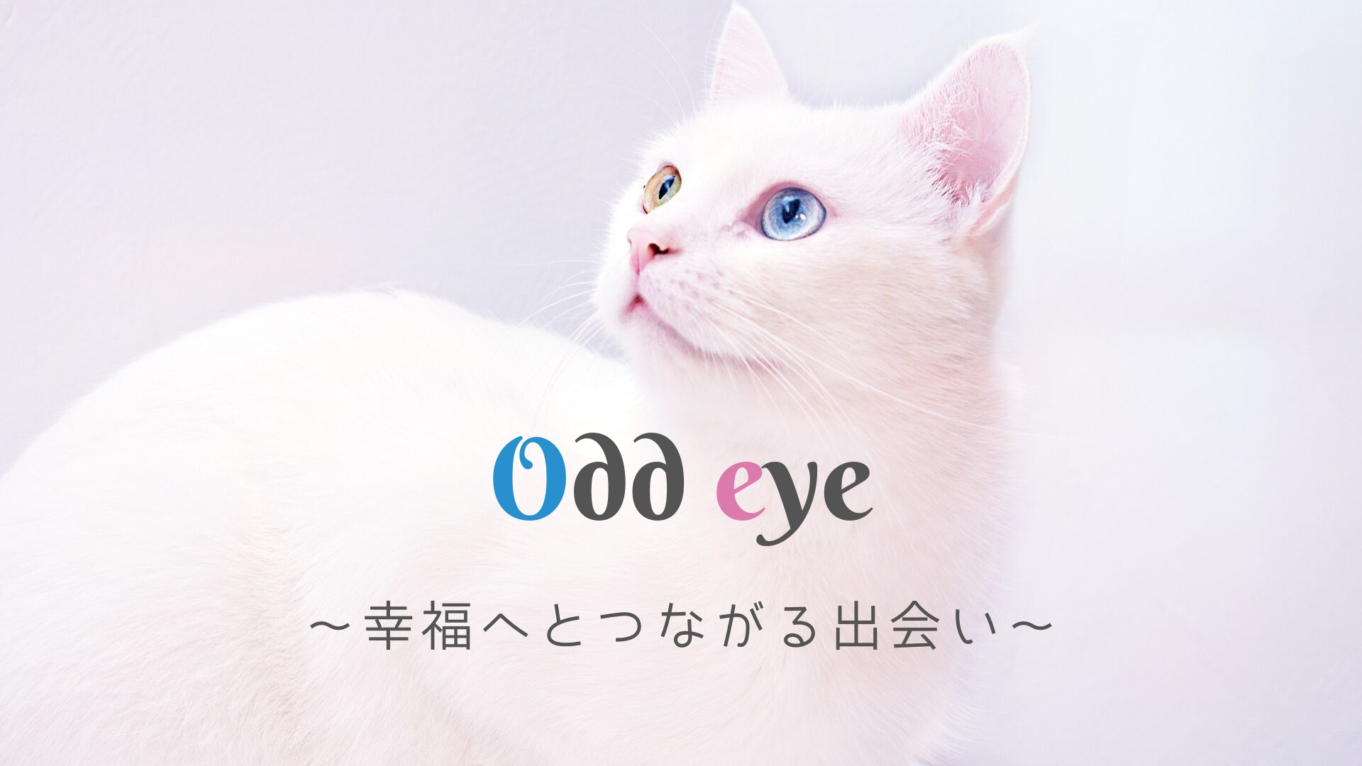 Odd eye -オッドアイ-